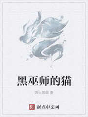 巫师养黑猫