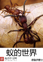 蚂蚁世界进化史