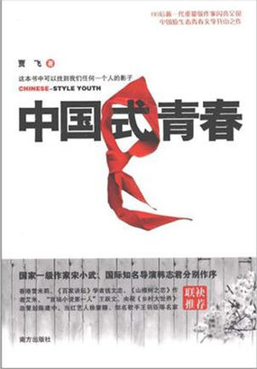 中国式青春小说