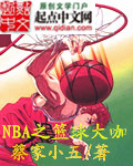 nba之篮球大咖 小说