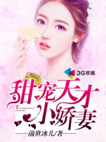 顾总的甜宠小娇妻完整版3