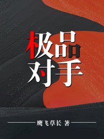 极品对手 小说免费阅读全文下载