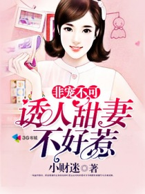 非宠新妻 小说