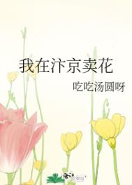 我在汴京卖花TXT下载