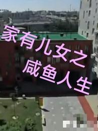 家有儿女之小说大全