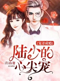 宠妻成瘾陆少的心尖宠第30话