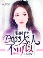 限时婚宠boss大人txt