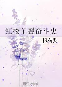 红楼丫鬟攒钱出府小说