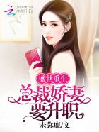 盛世婚宠:总裁的重生小甜妻