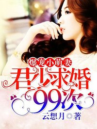 爆宠小萌妻:君少求婚99次 云想月