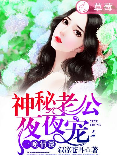 一夜蜜婚:神秘老公宠入怀全文免费阅读