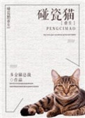 巨胃猫