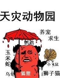 天灾动画100小时超长合集