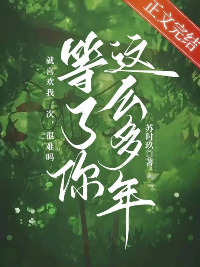 等了你这么多年txt