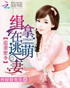 追缉妻宝