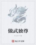 傲武至尊 小说