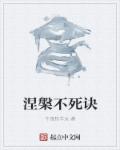 涅槃bilibili