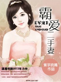 婚宠之袅妻霸爱这本书