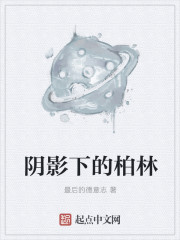 阴影下的戏命师何小桑结局