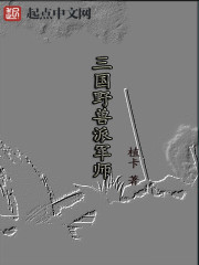 三国野兽篇怎么过