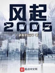 风起2005