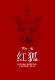 红狐电视剧40集免费观看