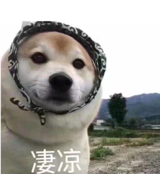 恶犬