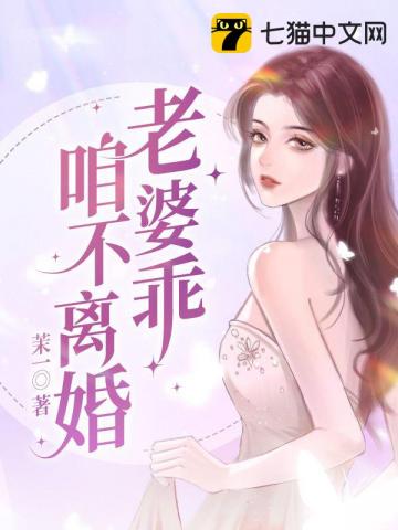 老婆乖咱不离婚小说大全