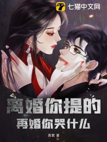 再婚想离婚