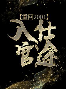 重回2001，入仕官途