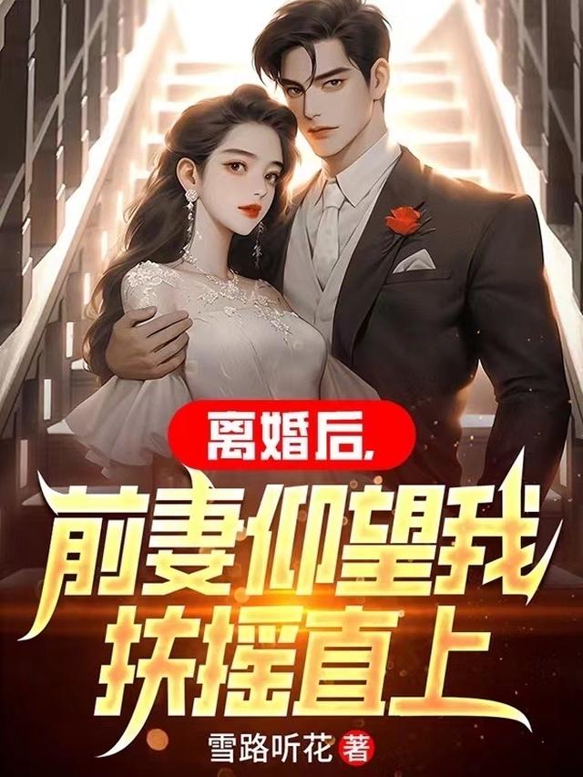 离婚后前妻仰望我扶摇直上结局