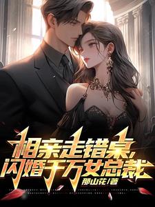 相亲走错桌，闪婚千万女总裁