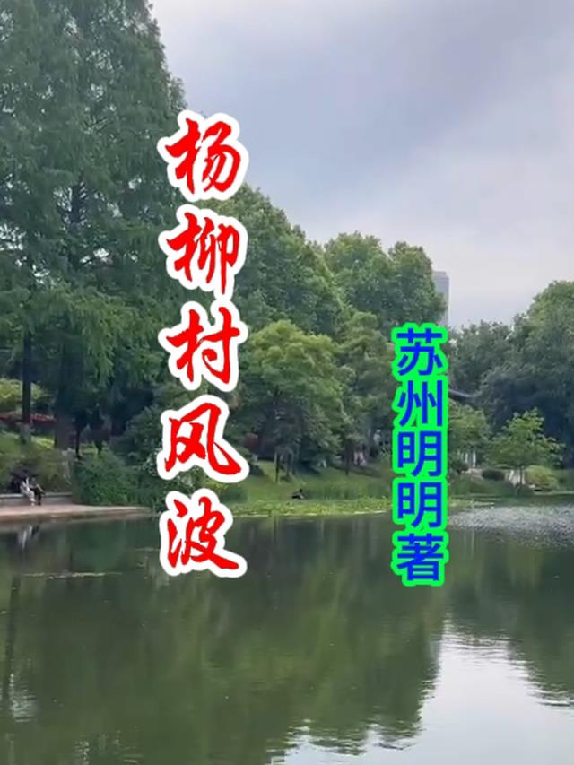 杨柳村风波