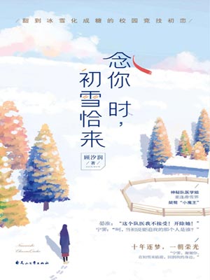 念你时，初雪恰来