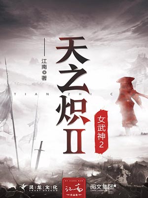 天之炽2：女武神2