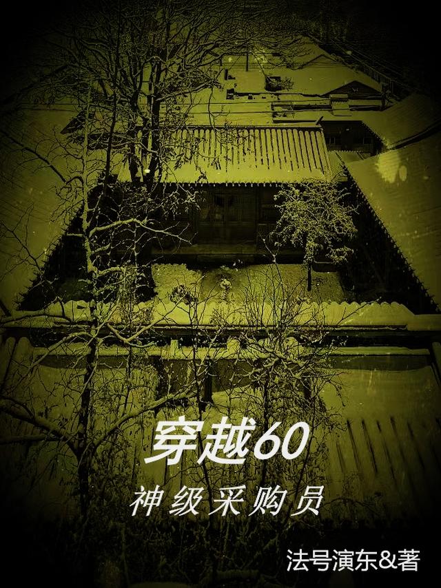 穿越60：神级采购员