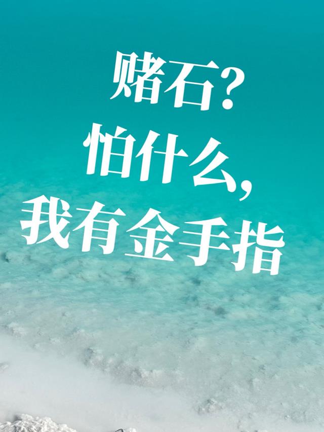 赌石的游戏