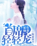 家有仙妻：首席轻轻宠