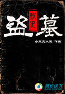 盗墓秘史