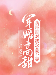 军婚高甜:兵哥哥对我念念不忘